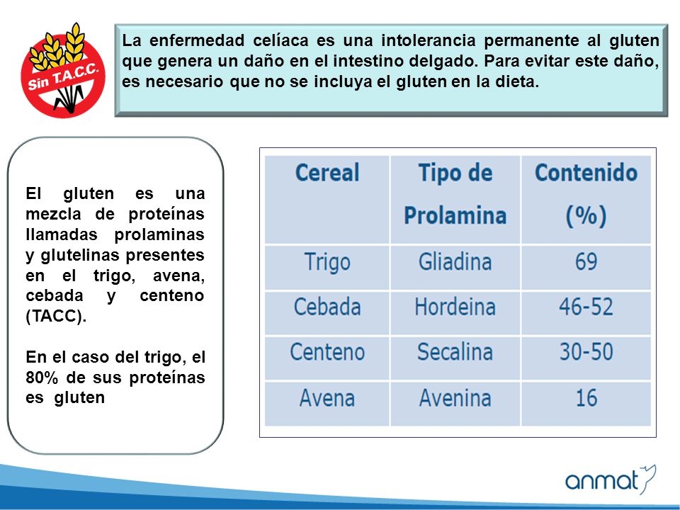 El gluten es necesario